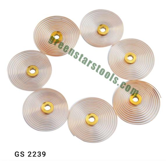 HAIR SPRING WITH COLLETS